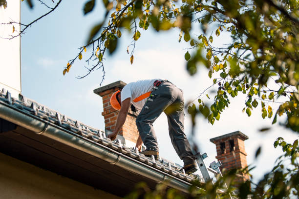 Best Storm Damage Roof Repair  in Newpt, OR